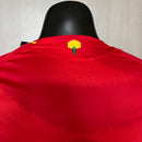 Camisa Seleção da Espanha Manga longa I 2024 JOGADOR Vermelha