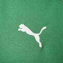 Camisa do Palmeiras I 26/27 Torcedor Verde
