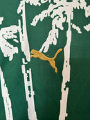 Camisa do Palmeiras Edição Especial 25/26 Torcedor Verde